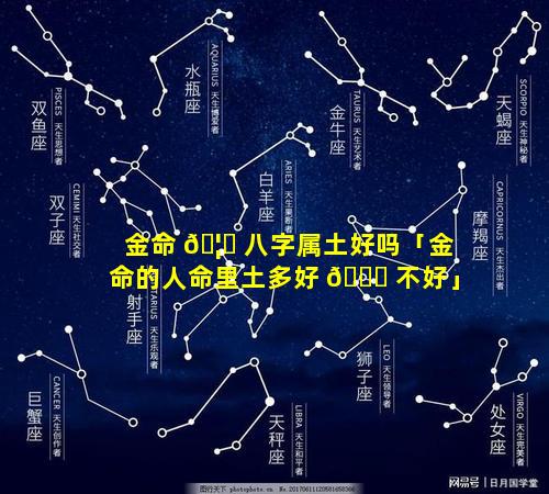 金命 🦍 八字属土好吗「金命的人命里土多好 🐝 不好」
